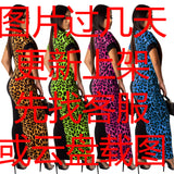 Leopard Patchwork Short Sleeve Fashion Maxi Dress 