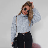 Women Winter High Collar Sexy Casual Knitted Sweater