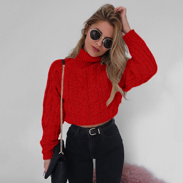Women Winter High Collar Sexy Casual Knitted Sweater 