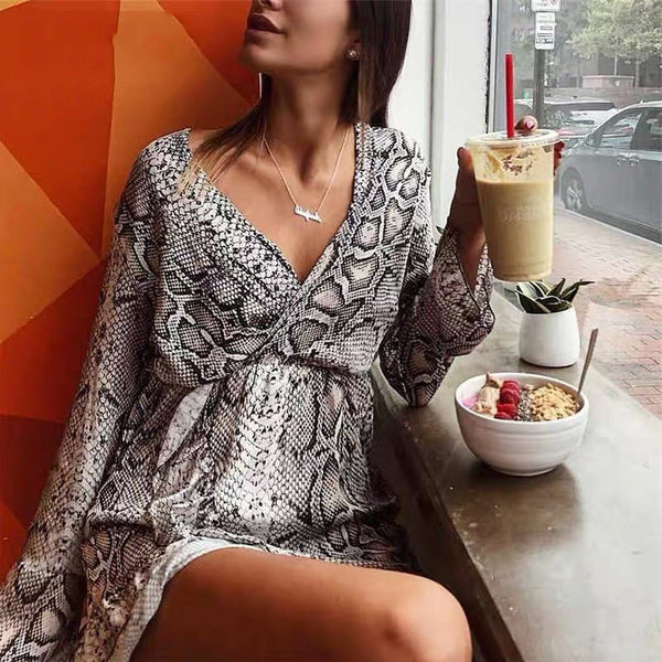Women fashion long sleeve  v neck sexy Mini dress