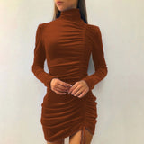 Turtleneck Velvet Warm Long Sleeve Dress for Women Autumn Winter Elegant Fashion Drawstring Ruched Plus Size Dresses